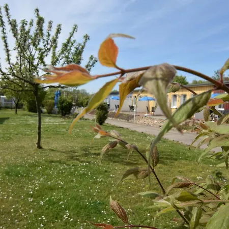 Apartment Bright On The Baltic Coast Wiek auf Ruegen